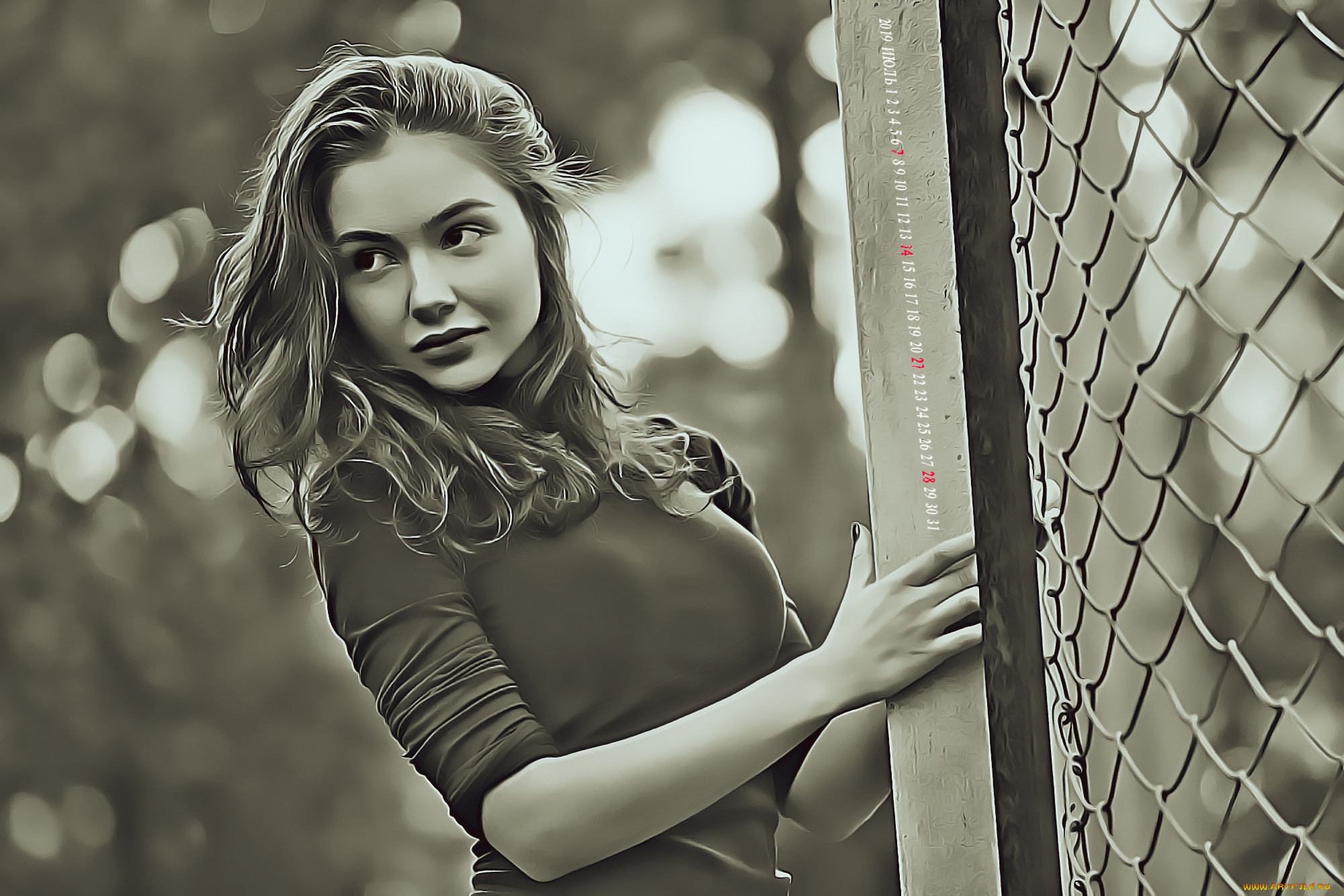 ,  , 2019, calendar, , , , 